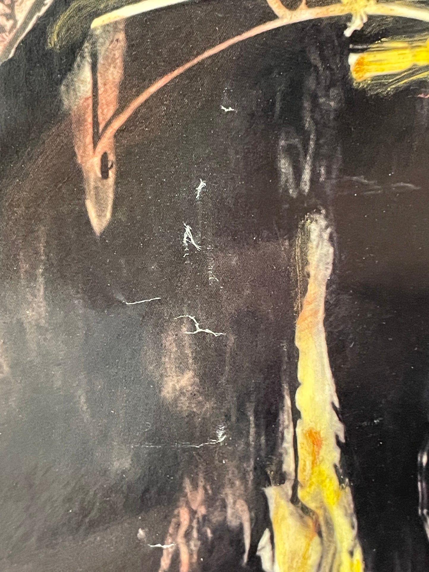 The Buck Pets - Mercurotones, vintage promo poster, 1990