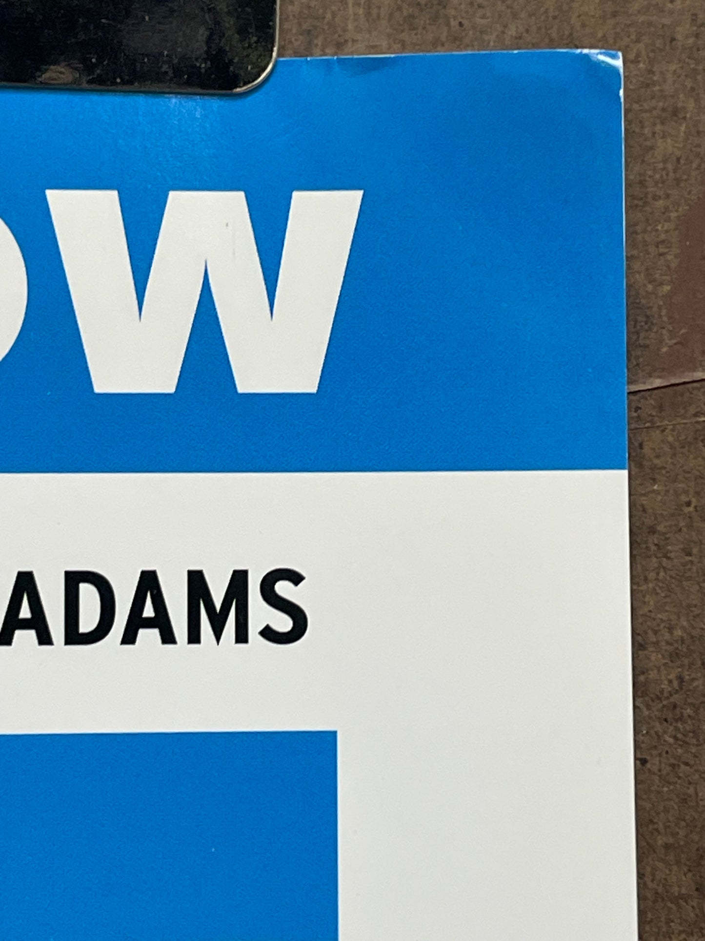 FILTER-P.J. Harvey, magazine promo poster, 2004