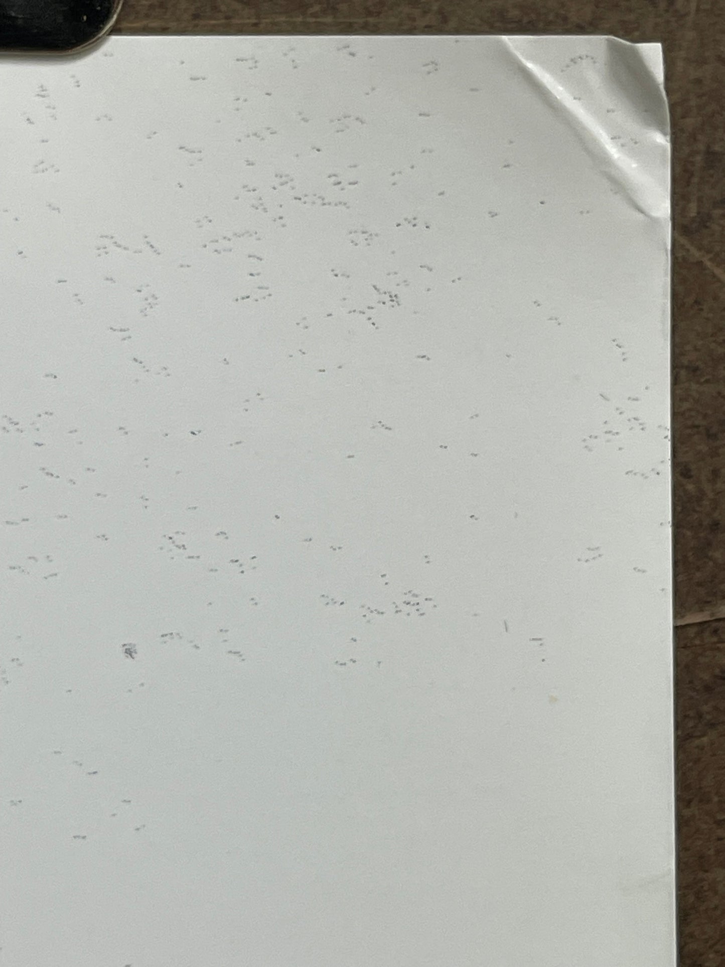 Kate Nash-Foundations, double-sided album promo poster, 2007