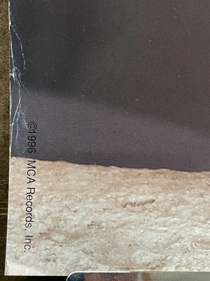 Reba McEntire - What if its You, 2-sided vintage album promo poster, 1996 - HAPPIEST KID FINDS - Museum-quality antique and vintage posters, original art, preservation and restoration