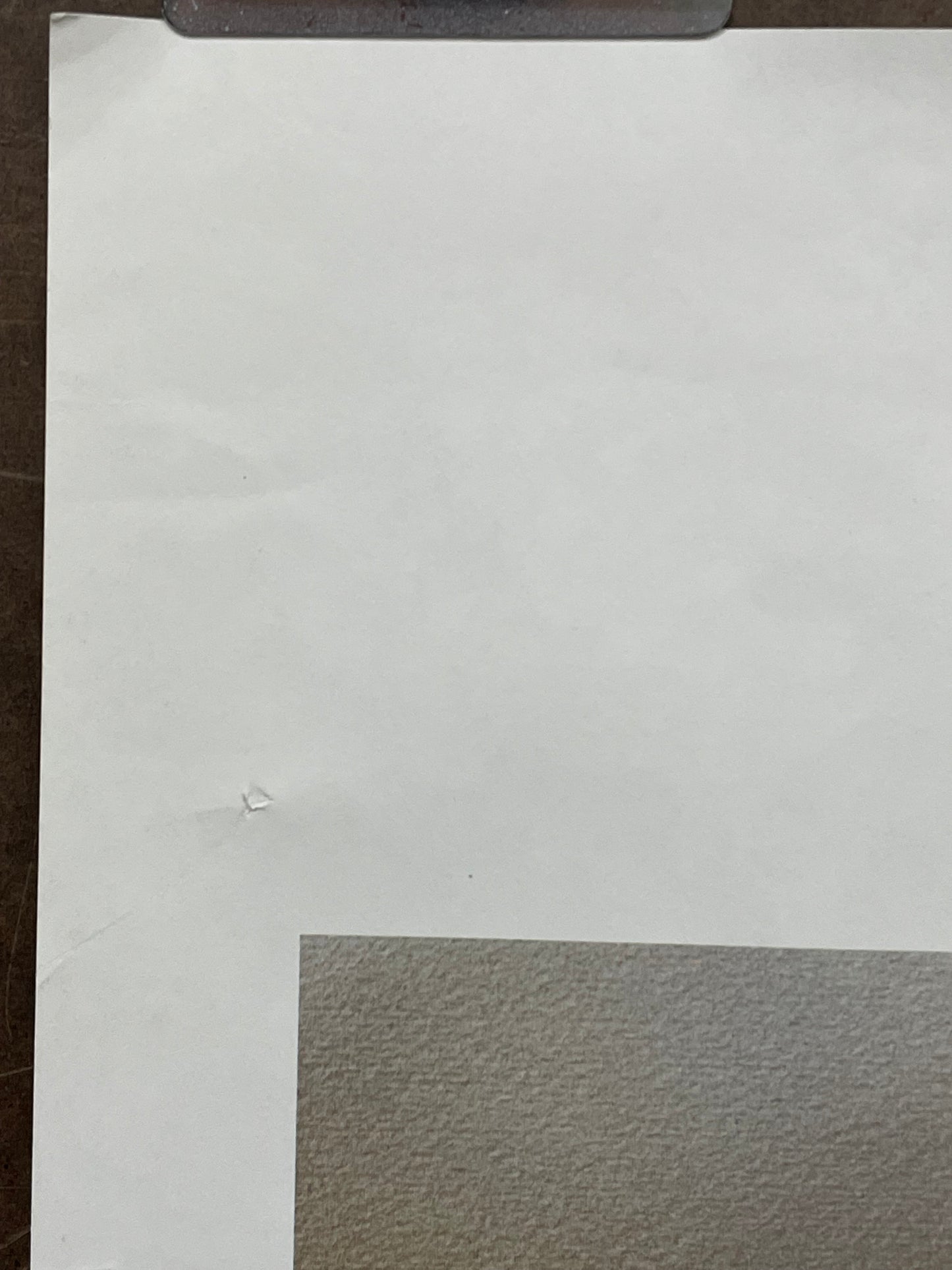 vintage PEGGY LEE - MIRRORS album promo poster, 1975