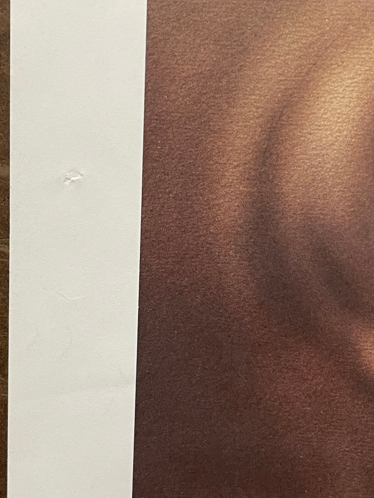 vintage PEGGY LEE - MIRRORS album promo poster, 1975