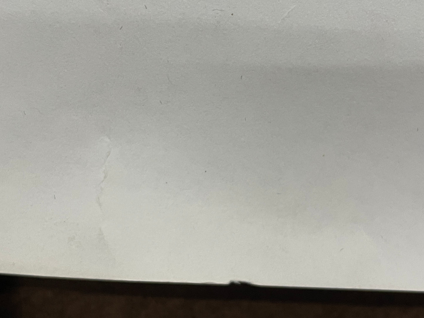 vintage PEGGY LEE - MIRRORS album promo poster, 1975