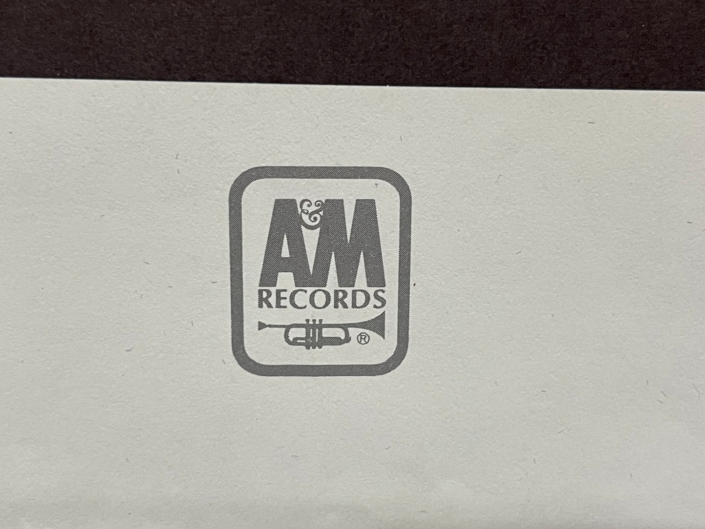 vintage PEGGY LEE - MIRRORS album promo poster, 1975