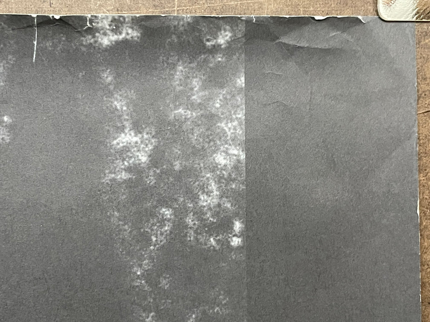 Urban Dance Squad-Mentle Floss for the Globe promo, 1990