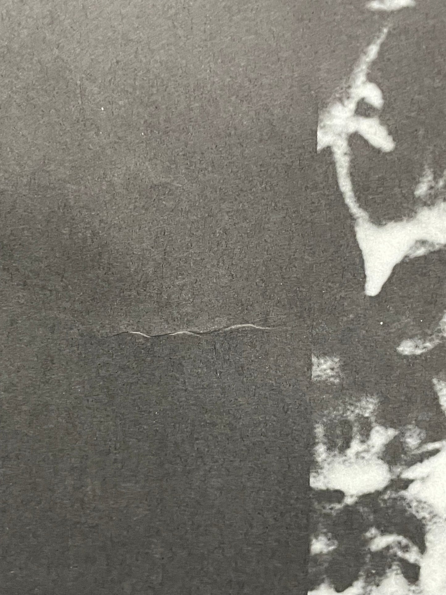 Urban Dance Squad-Mentle Floss for the Globe promo, 1990