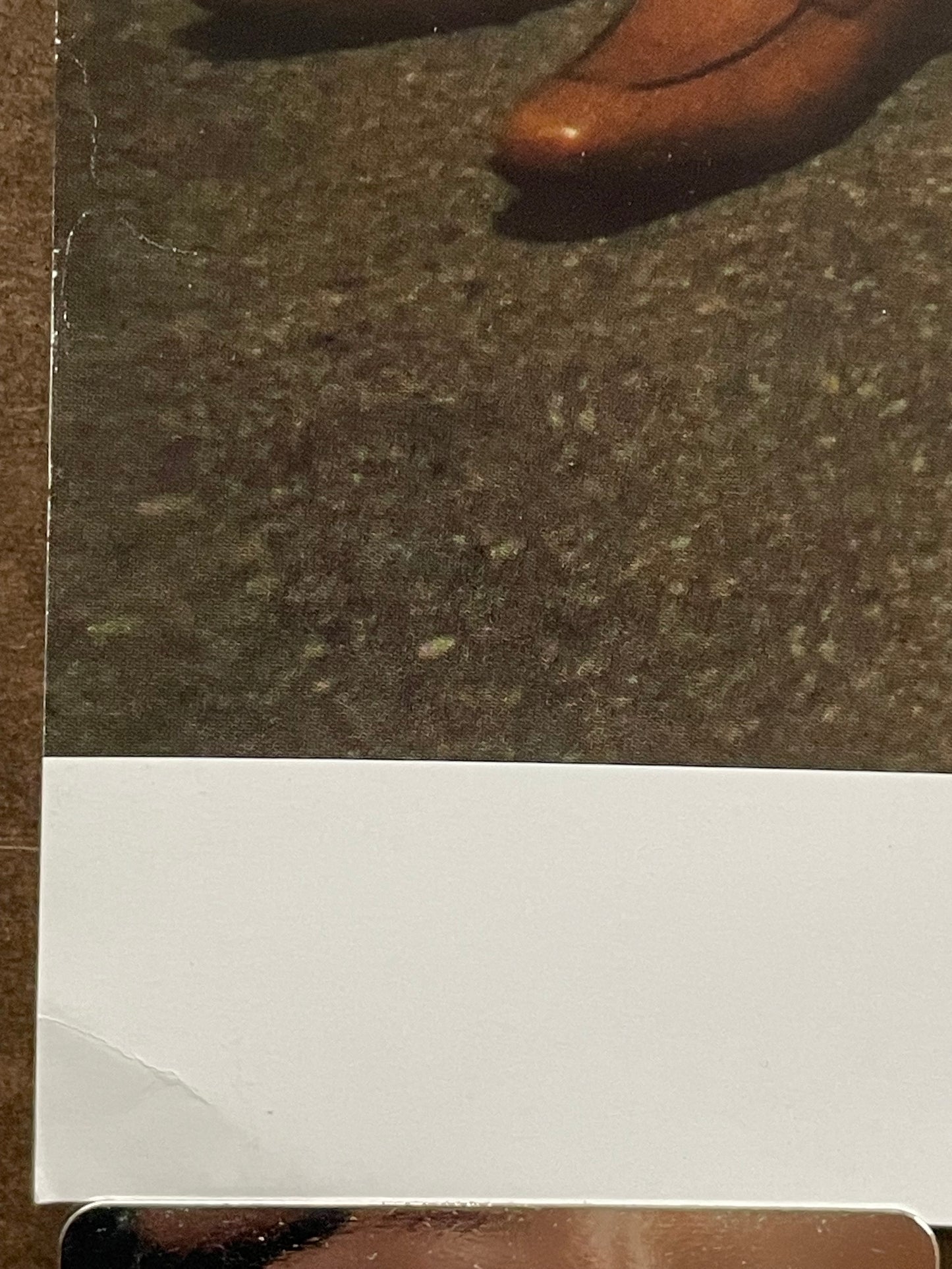 The Suburbs band promo poster, 2013