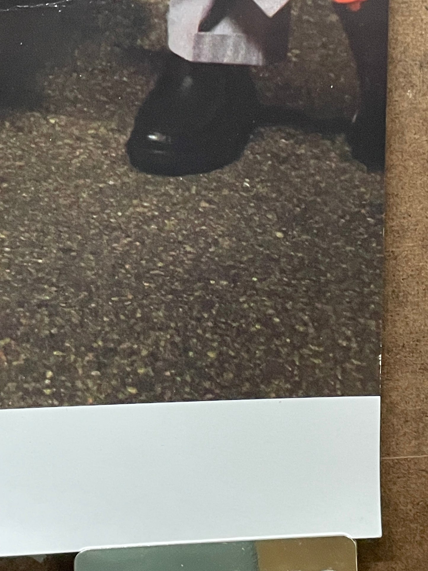 The Suburbs band promo poster, 2013