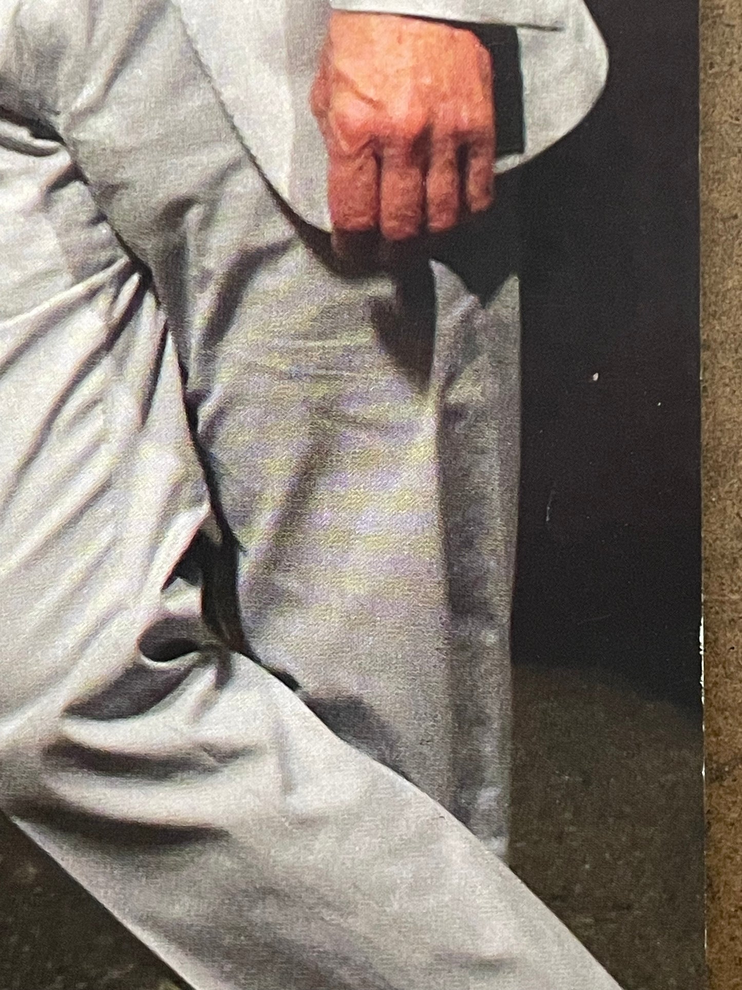 The Suburbs band promo poster, 2013