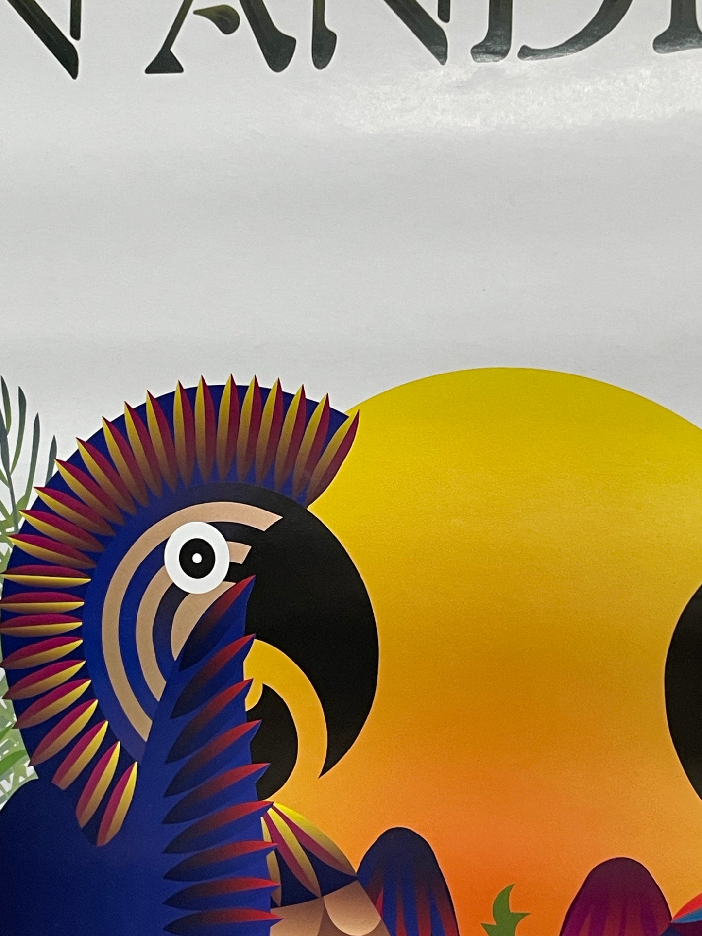 Ian Anderson-The Secret Language of Birds, album promo poster, 2000