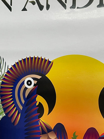Ian Anderson-The Secret Language of Birds, album promo poster, 2000 - HAPPIEST KID FINDS - Museum-quality antique and vintage posters, original art, preservation and restoration