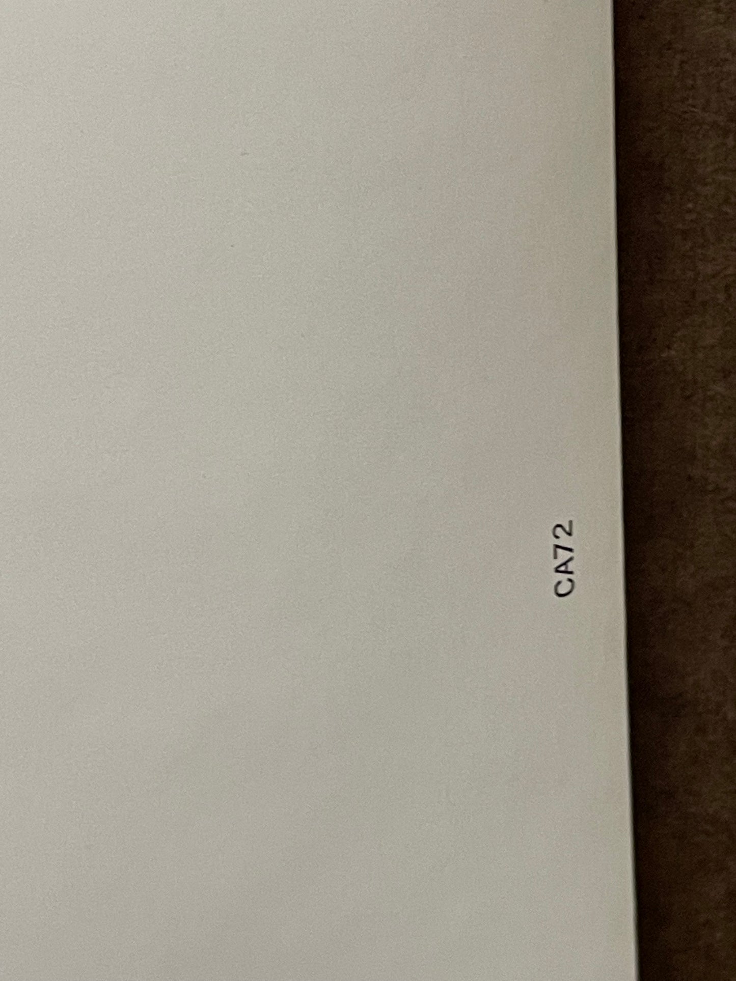 Lions in the Sun, vintage blacklight poster, 1970