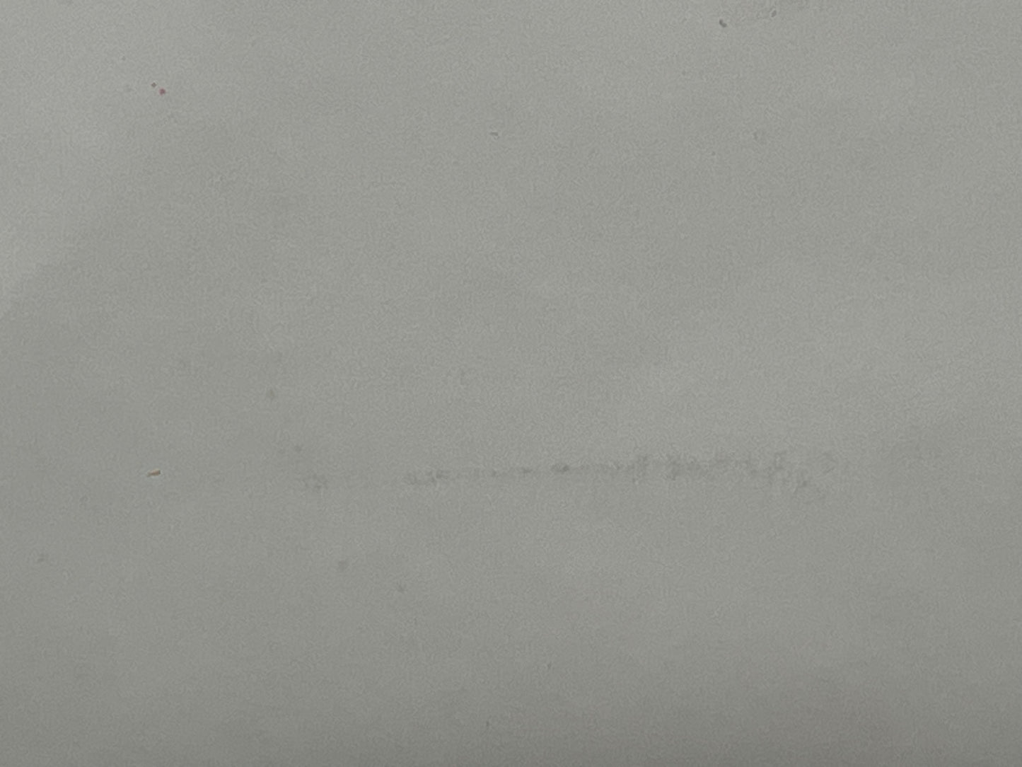 Lions in the Sun, vintage blacklight poster, 1970