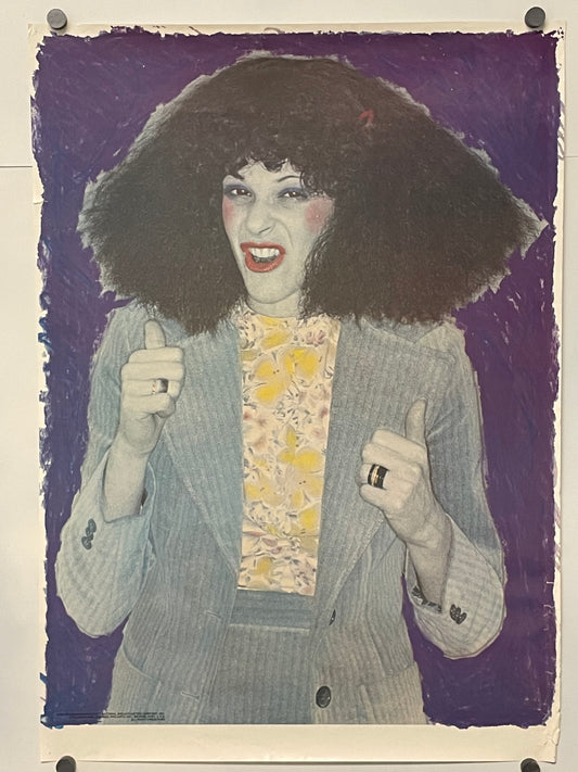 Roseanne Roseannadanna, vintage commercial poster for Saturday Night Live TV Series character, 1978