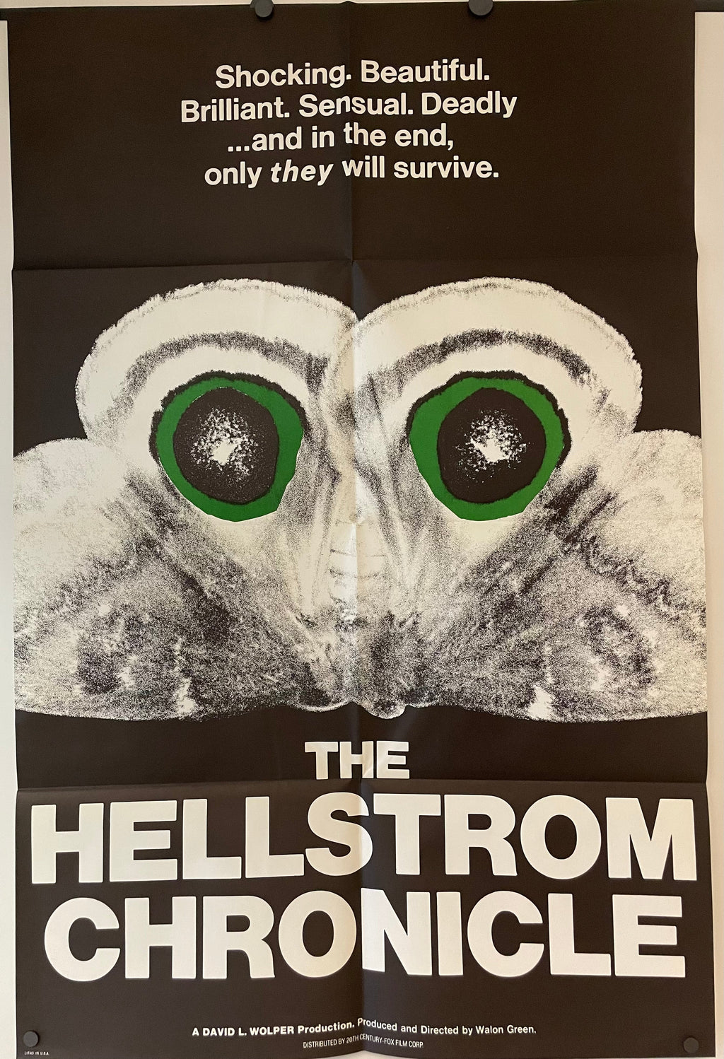 The Hellstrom Chronicle, Original Vintage Poster 1971 Happiest Kid Finds