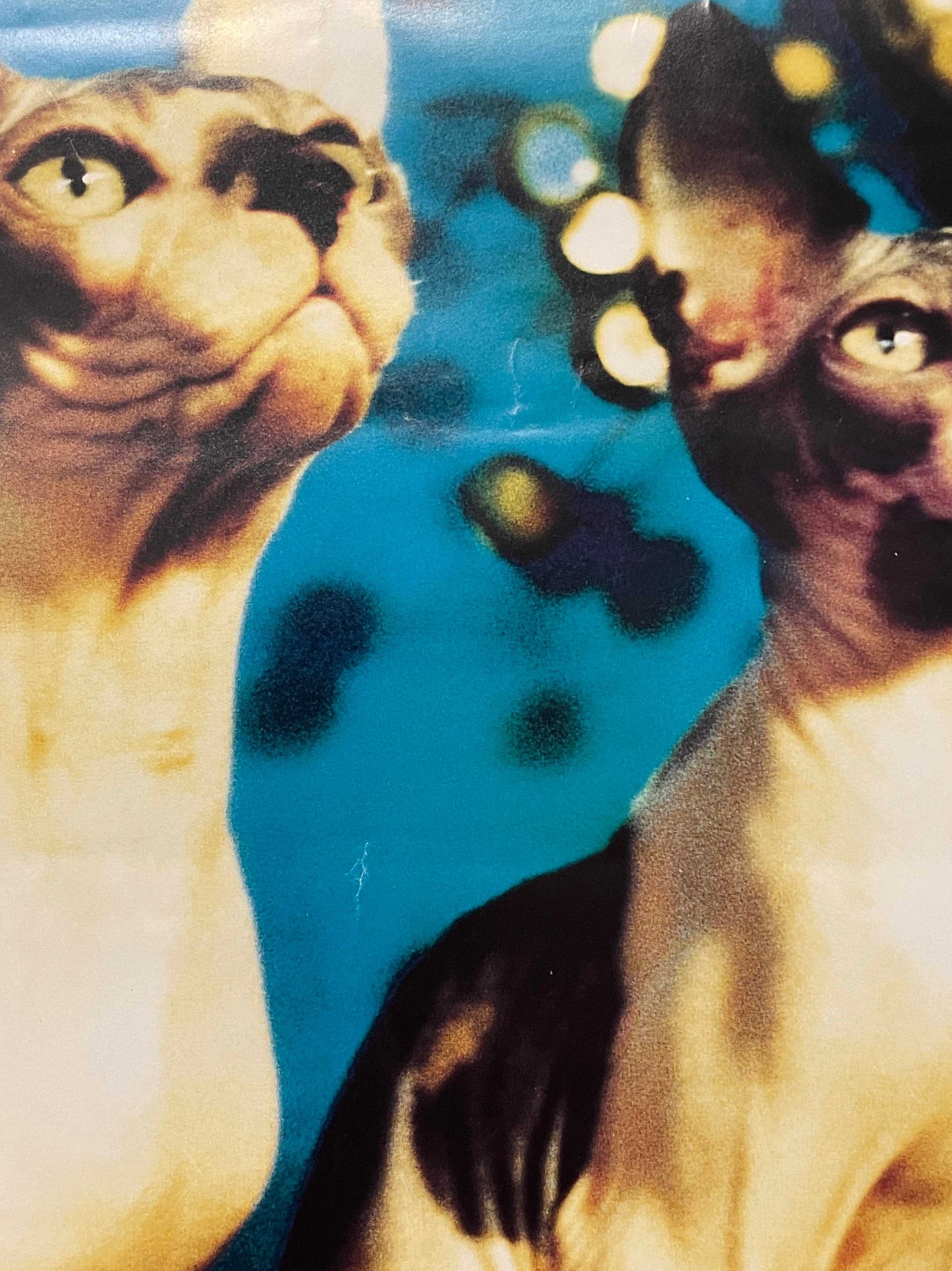 Aerosmith - Nine Lives original and vintage music promo poster, 1997