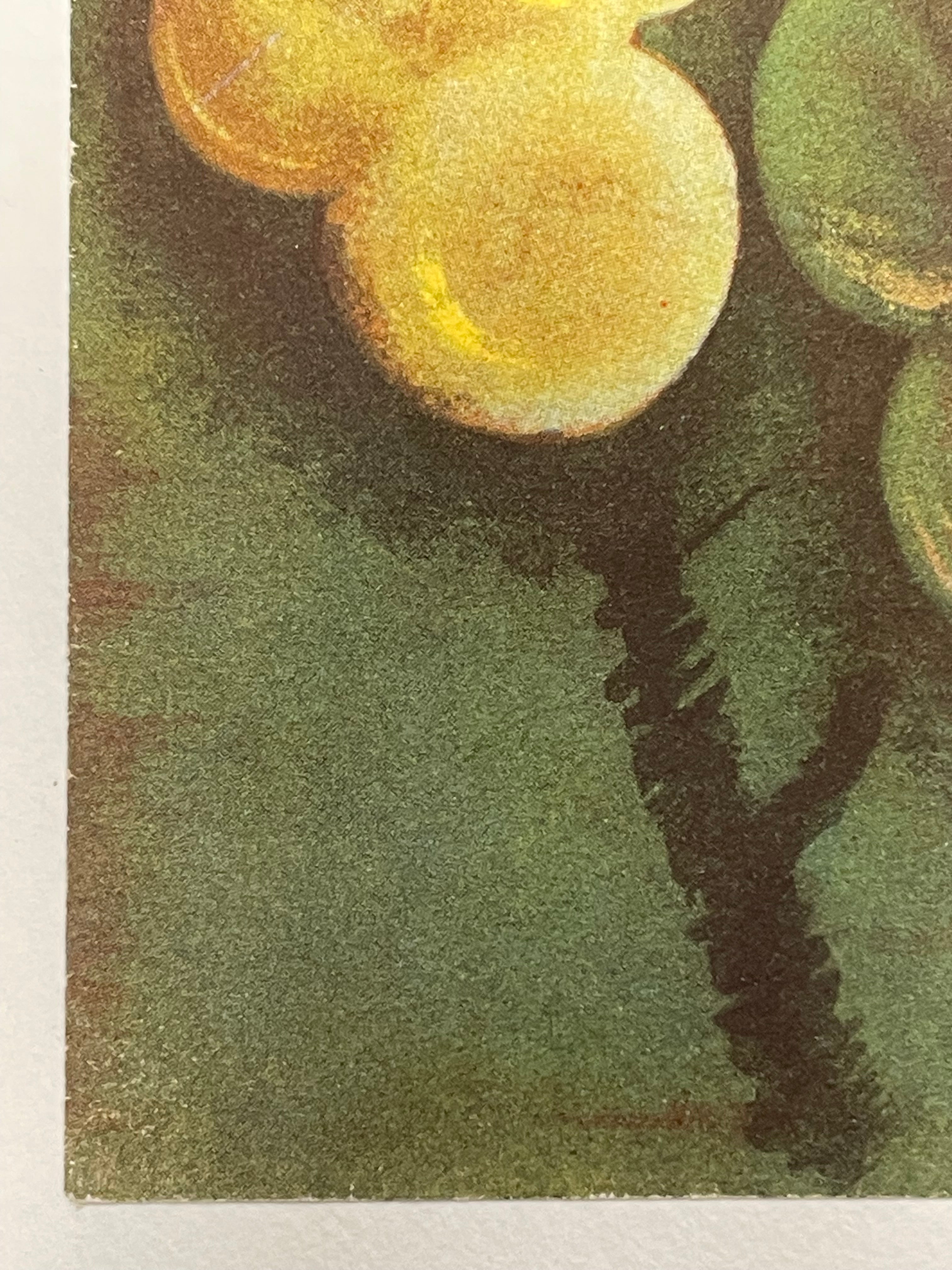 rare antique Italian travel lithograph, ITALIA, September 1937 - HAPPIEST KID FINDS - Museum-quality antique and vintage posters, original art, preservation and restoration