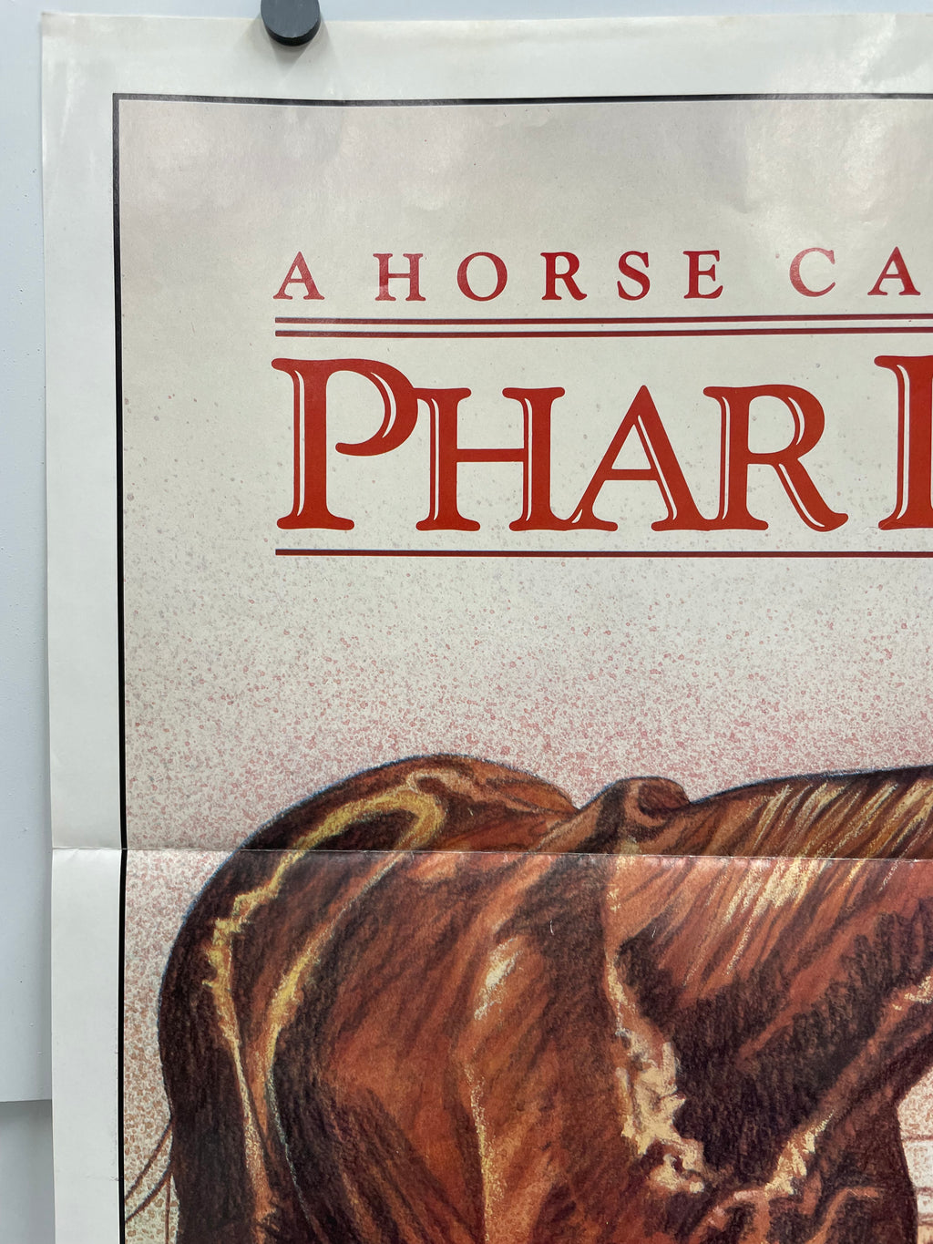 vintage and original, A Horse Called PHAR LAP, US one-sheet film poster, 1984 - HAPPIEST KID FINDS - Museum-quality antique and vintage posters, original art, preservation and restoration