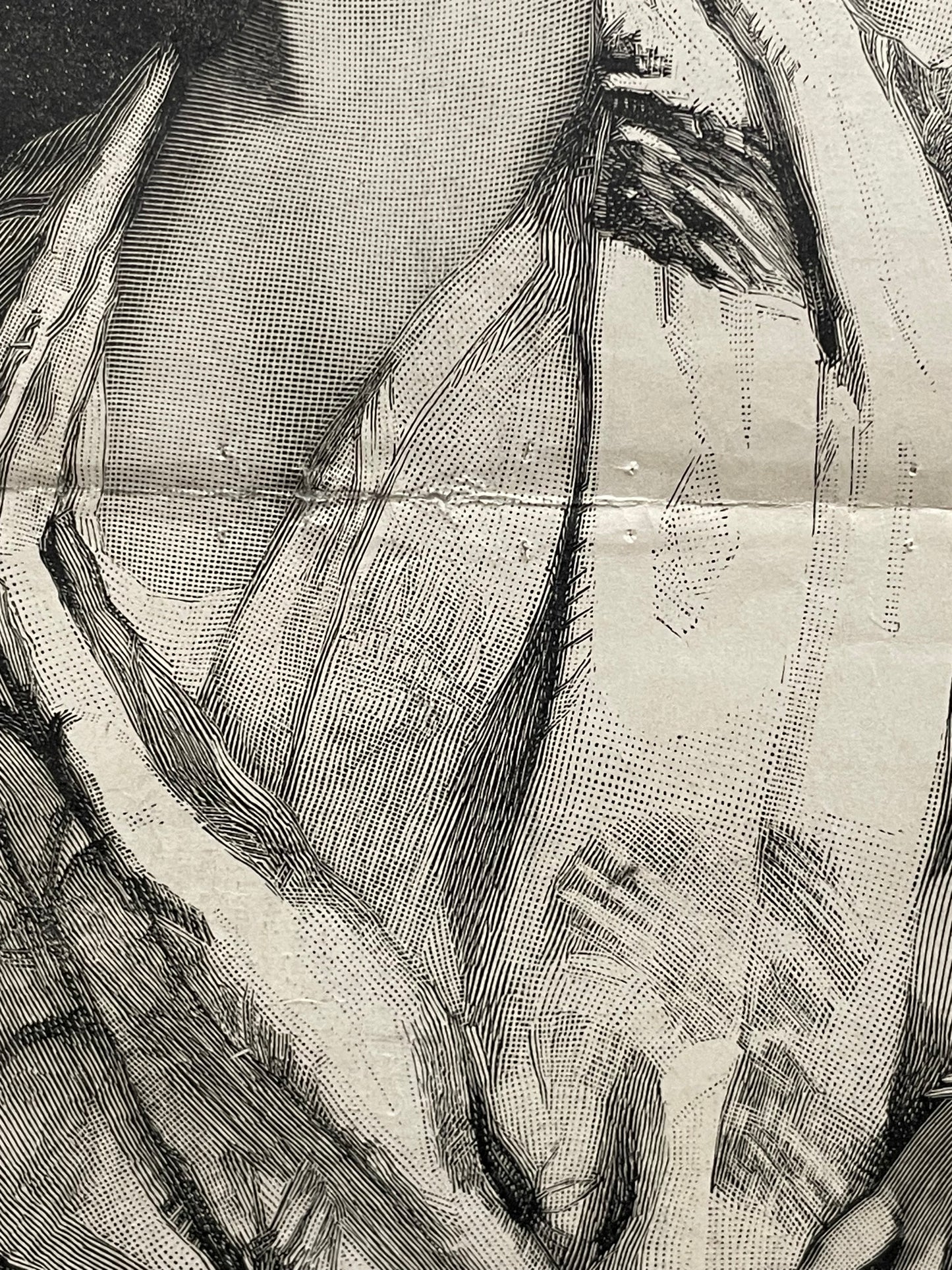 antique, A Japanese Fantasy, engraving from a Harper’s Bazar publication, 1884