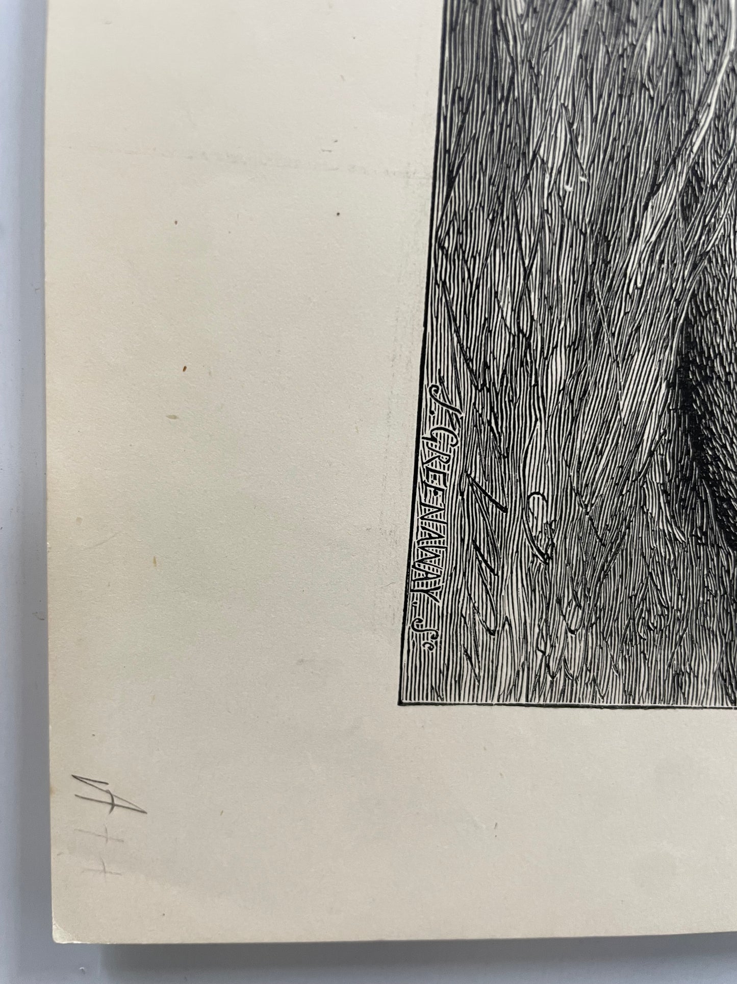 antique, Lioness and Cubs, engraving as supplement to the Illustrated London News, 1881