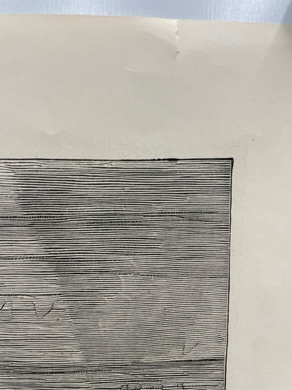 antique, Lioness and Cubs, engraving as supplement to the Illustrated London News, 1881