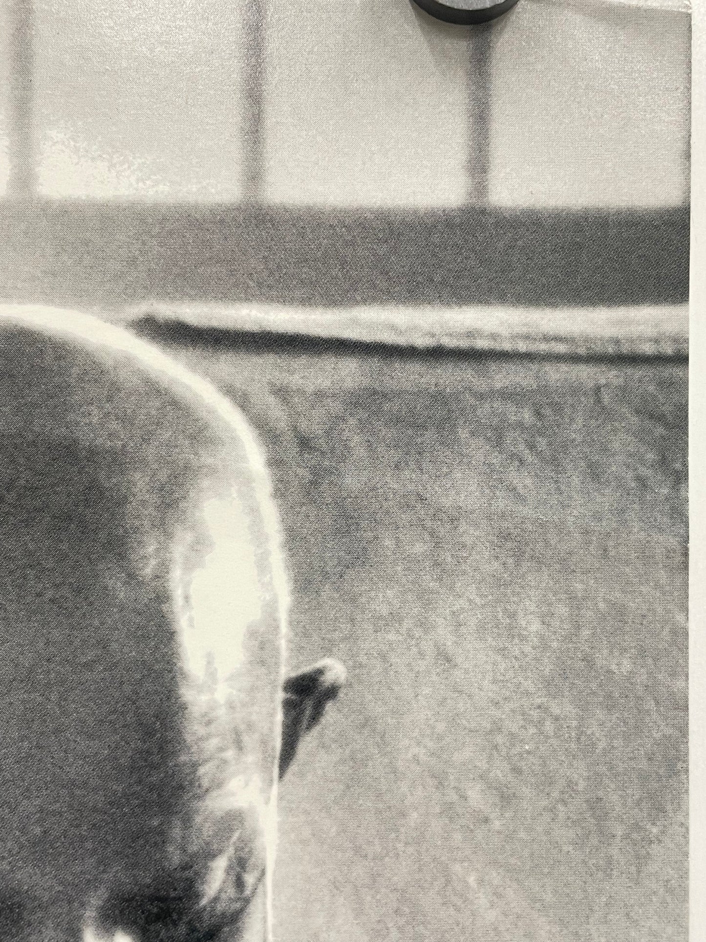 Apple ‘Think Different’ Mahatma Gandhi, offset lithographic poster from the Educators Set, 2000