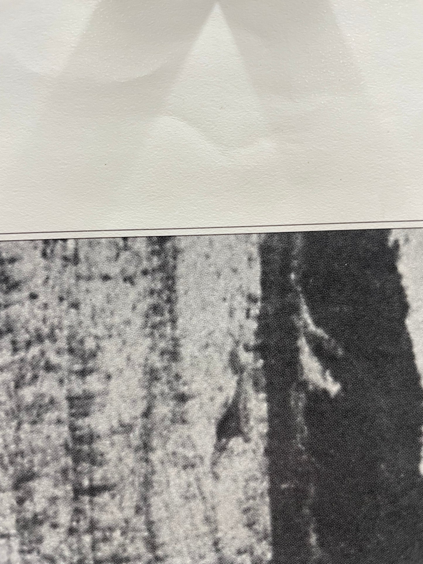 original and vintage, America’s Lighthouses  - Old Baldy Foundation, exhibition poster, North Carolina, c.2017 - HAPPIEST KID FINDS - Museum-quality antique and vintage posters, original art, preservation and restoration