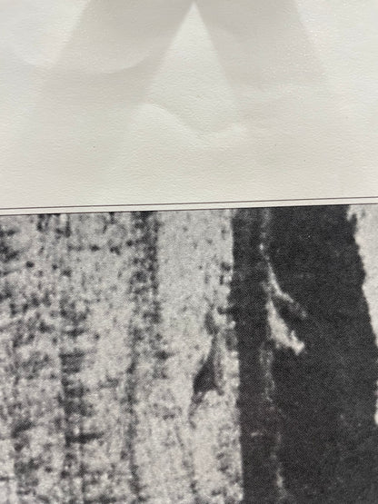 original and vintage, America’s Lighthouses  - Old Baldy Foundation, exhibition poster, North Carolina, c.2017 - HAPPIEST KID FINDS - Museum-quality antique and vintage posters, original art, preservation and restoration