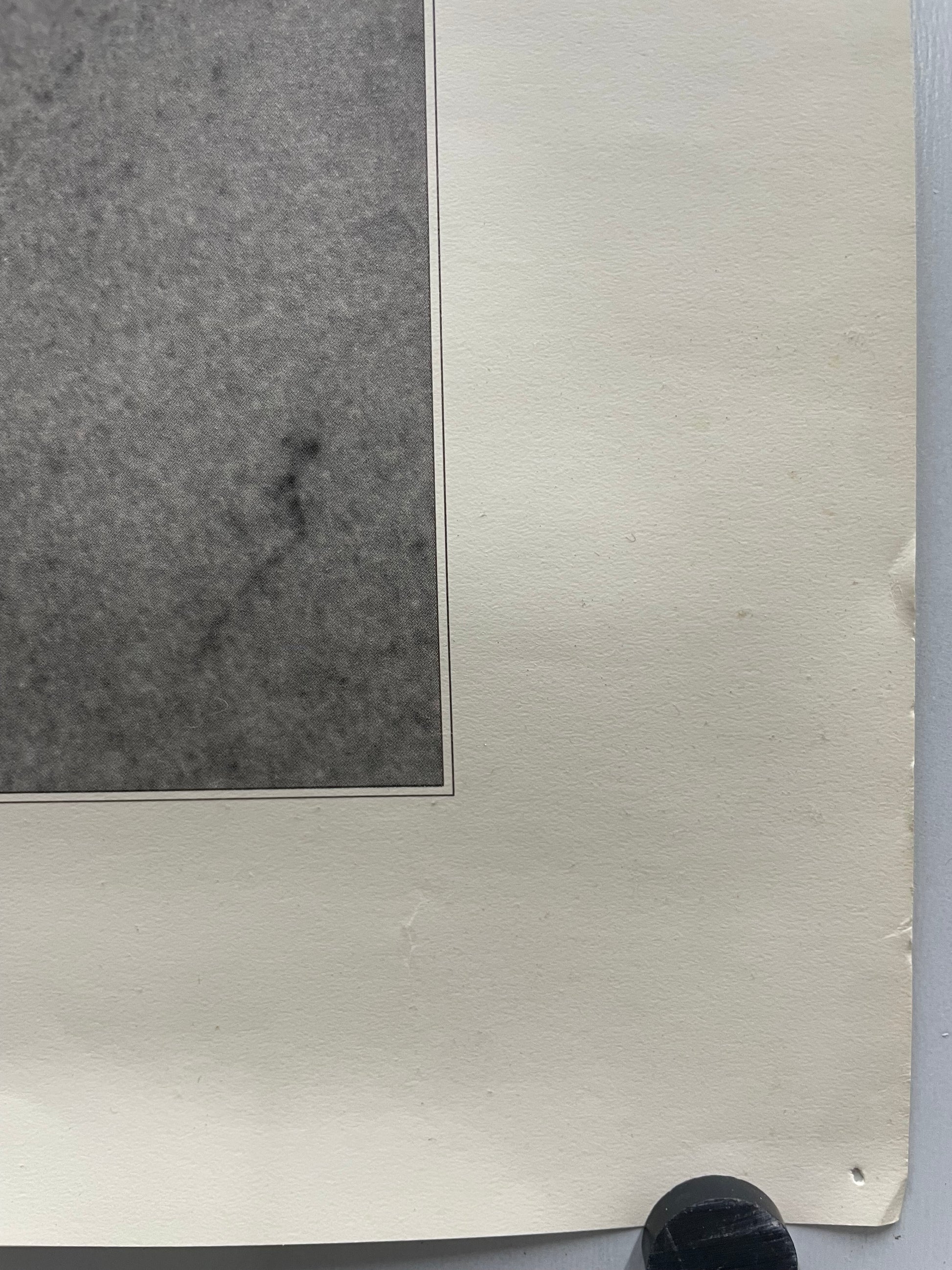 original and vintage, America’s Lighthouses  - Old Baldy Foundation, exhibition poster, North Carolina, c.2017 - HAPPIEST KID FINDS - Museum-quality antique and vintage posters, original art, preservation and restoration