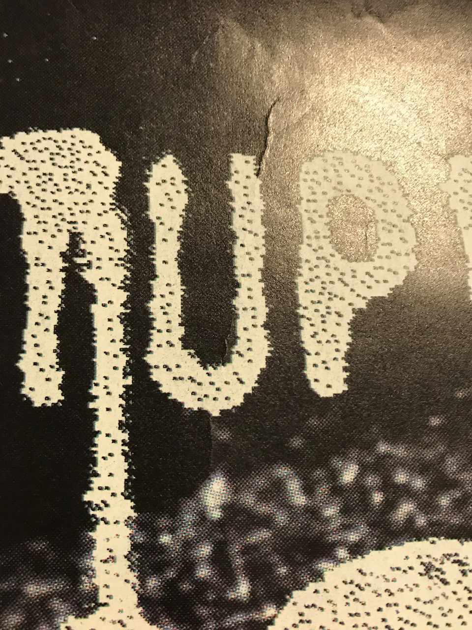 Black Grape - Stupid Stupid Stupid large format promo poster, 1997 - HAPPIEST KID FINDS - Museum-quality antique and vintage posters, original art, preservation and restoration
