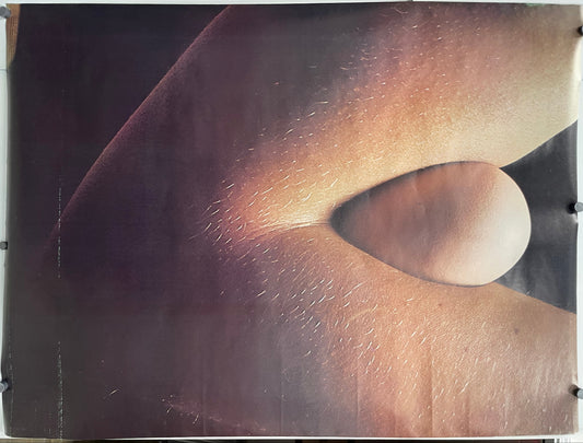 Image of an egg nested in the fold of the elbow.