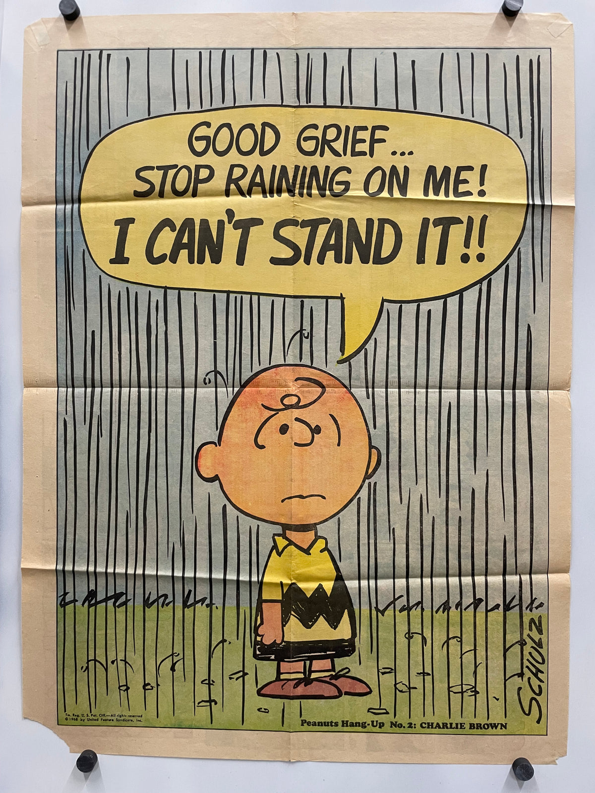 Peanuts character, Charlie Brown, expressing frustration with being rained on.