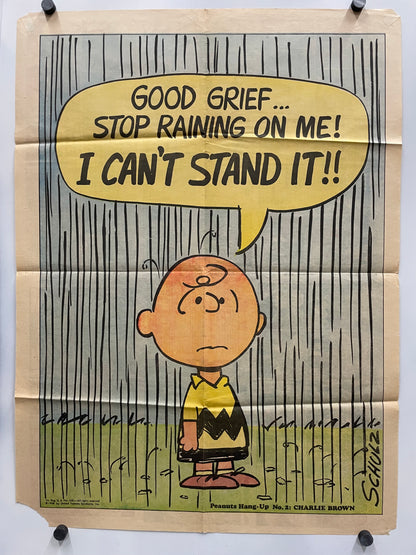 Peanuts character, Charlie Brown, expressing frustration with being rained on.