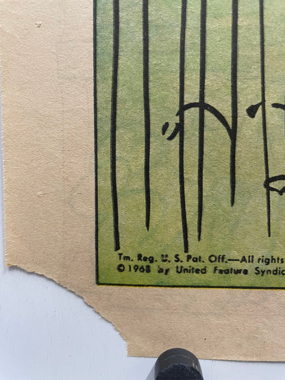 1968 Peanuts Charlie Brown Hang-Up Poster – art restoration vintage poster art gallery find