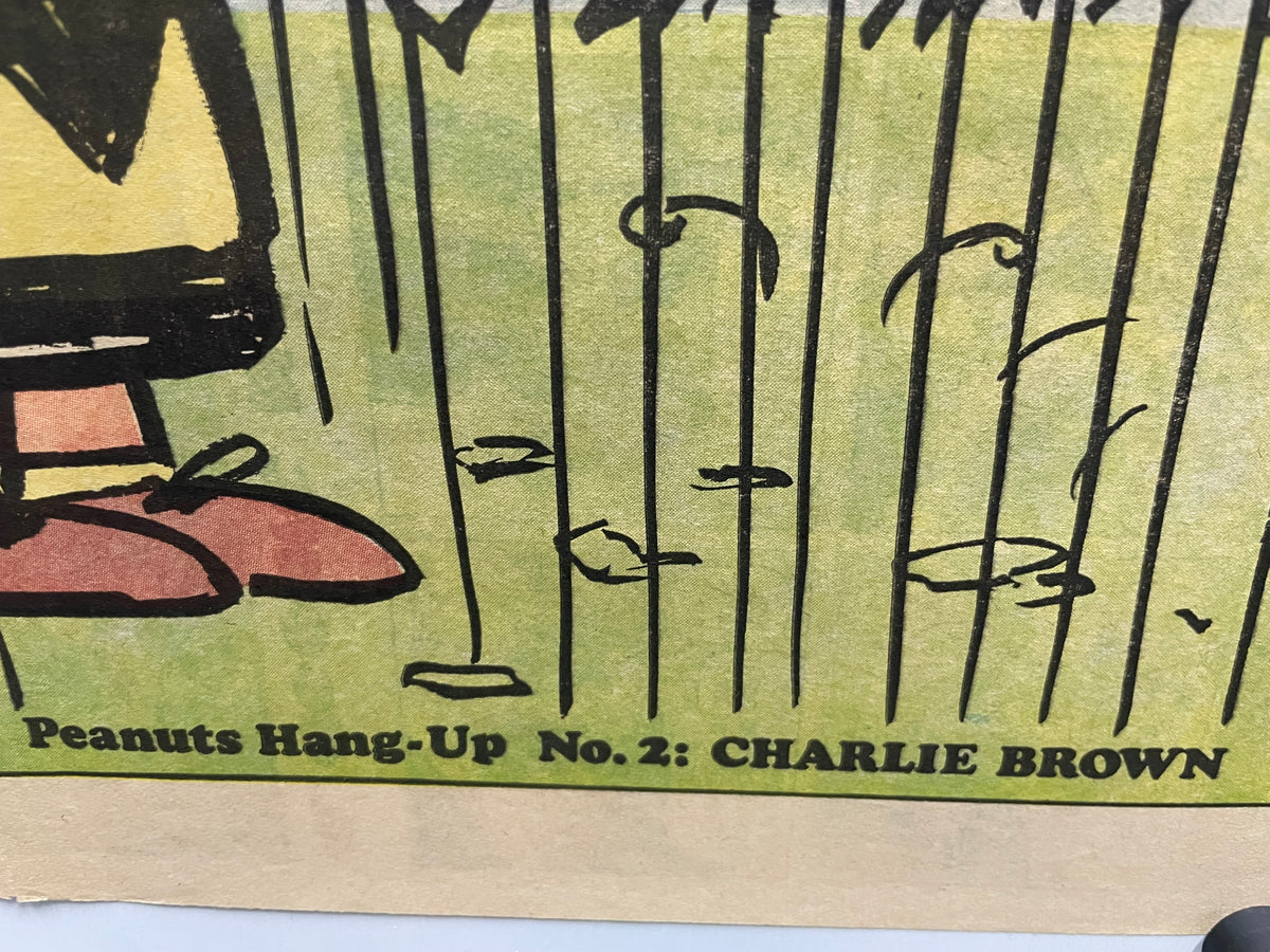 1968 Peanuts Charlie Brown Hang-Up Poster – art restoration vintage poster art gallery find