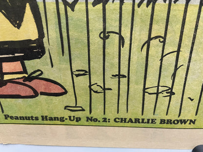 1968 Peanuts Charlie Brown Hang-Up Poster – art restoration vintage poster art gallery find