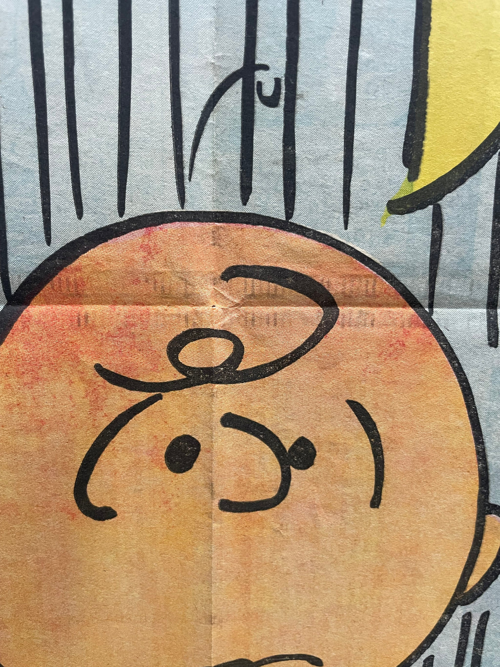 Peanuts Charlie Brown Hang-Up Vintage Comics Poster 1968 | Happiest Kid Finds