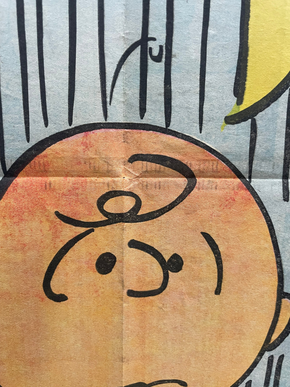 1968 Peanuts Charlie Brown Hang-Up Poster – art restoration vintage poster art gallery find