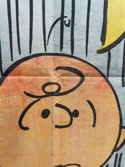 1968 Peanuts Charlie Brown Hang-Up Poster – art restoration vintage poster art gallery find