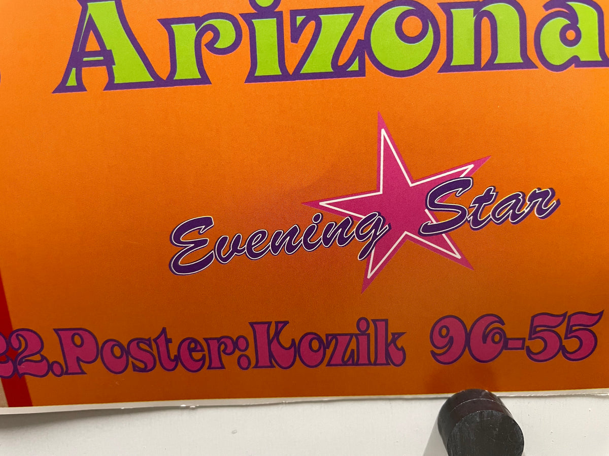 vintage Smashing Pumpkins poster by Frank Kozik 1996 | Happiest Kid Finds