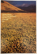 Vintage poster featuring a field of yellow flowers and a mountain range in the background with the text 'Daisies Bloom Where They Find Room, Where People Find Peace'.