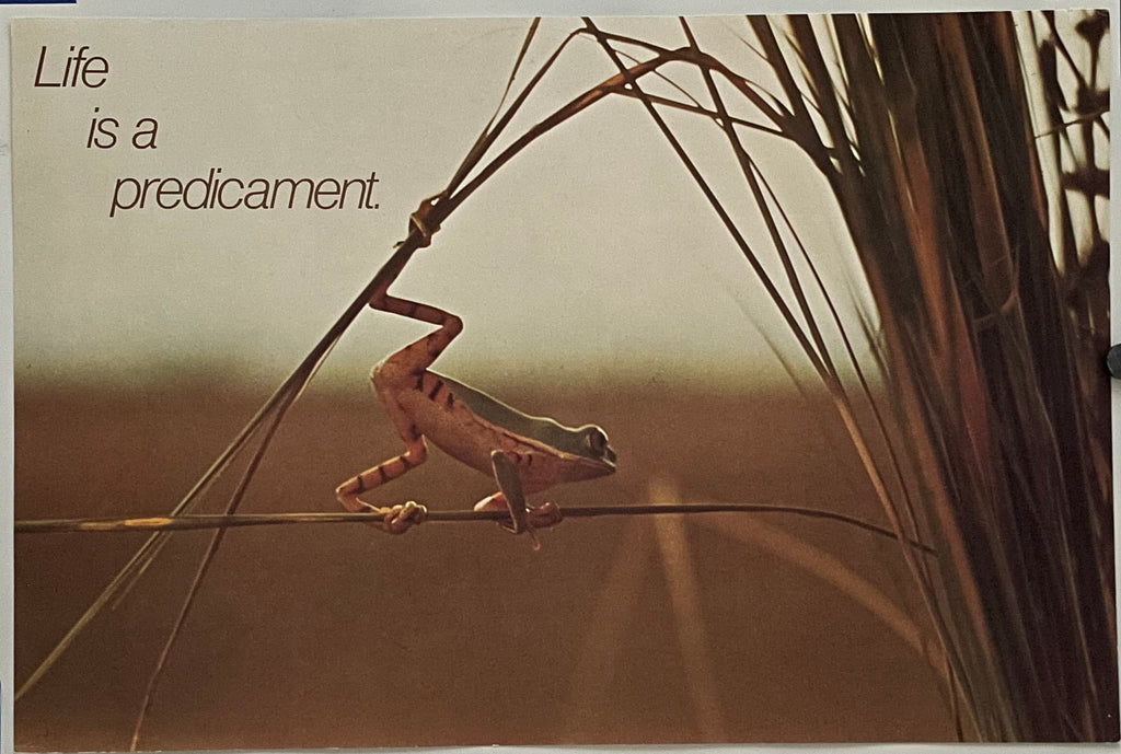 Life is a Predicament. (#2189) vintage ARGUS poster, featuring a frog balancing on blades of grass with the text 'Life is a Predicament' above it.