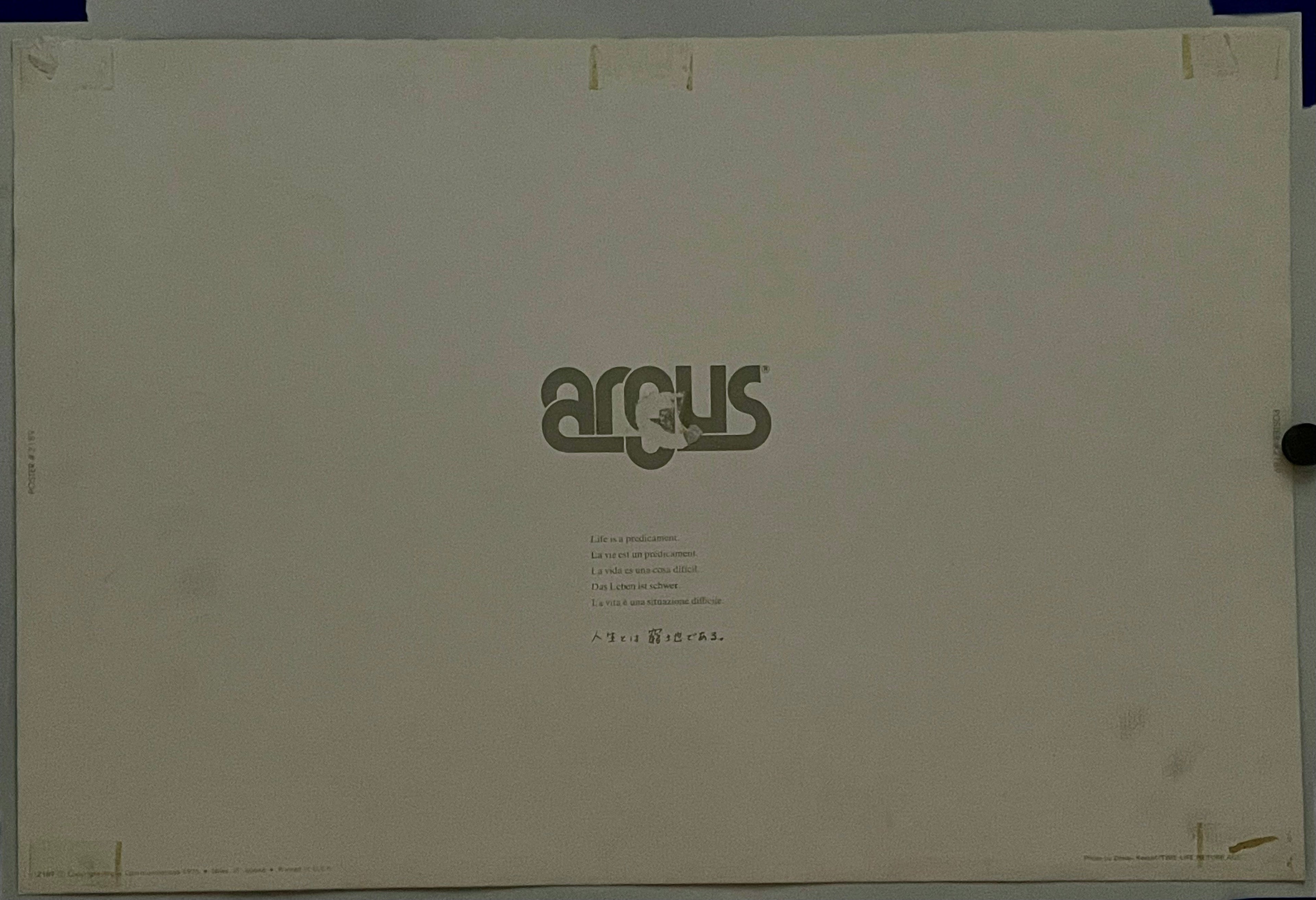 Life is a Predicament. (#2189), vintage ARGUS poster, 1975 Happiest Kid Finds