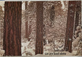 In Solitude We Are Least Alone, (#752) vintage ARGUS poster