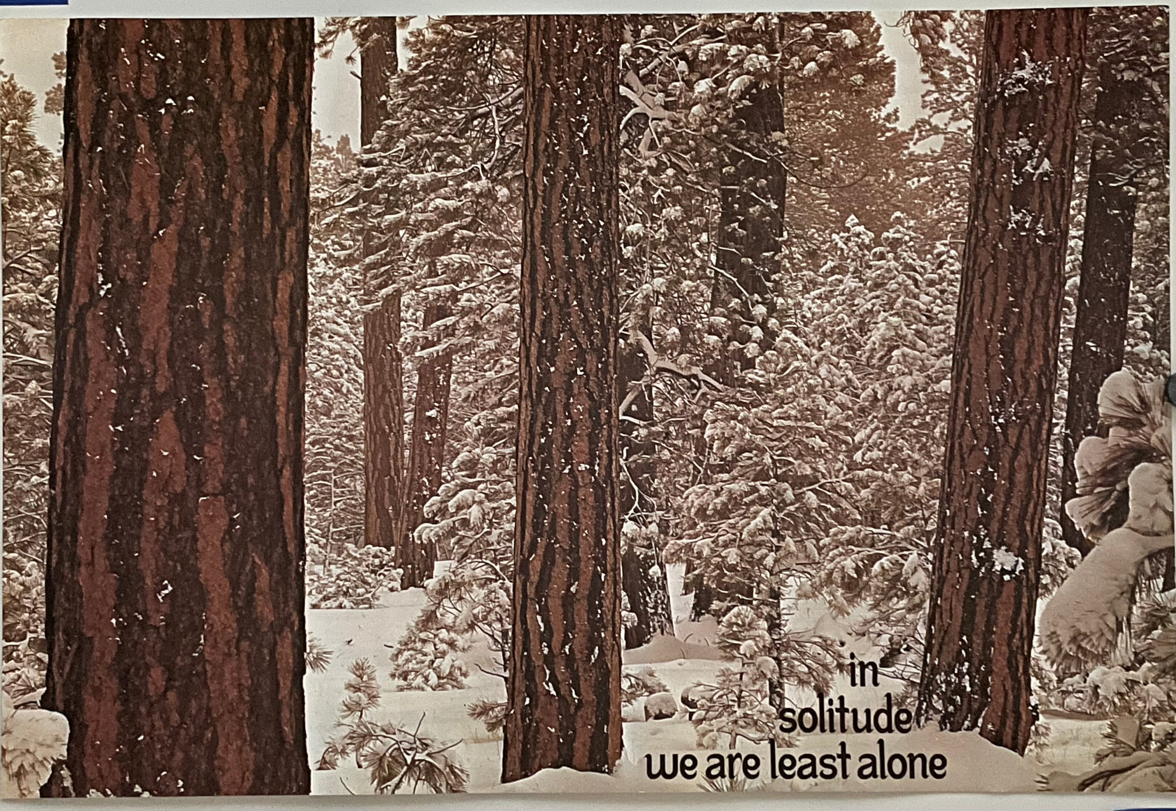 In Solitude We Are Least Alone, (#752) vintage ARGUS poster