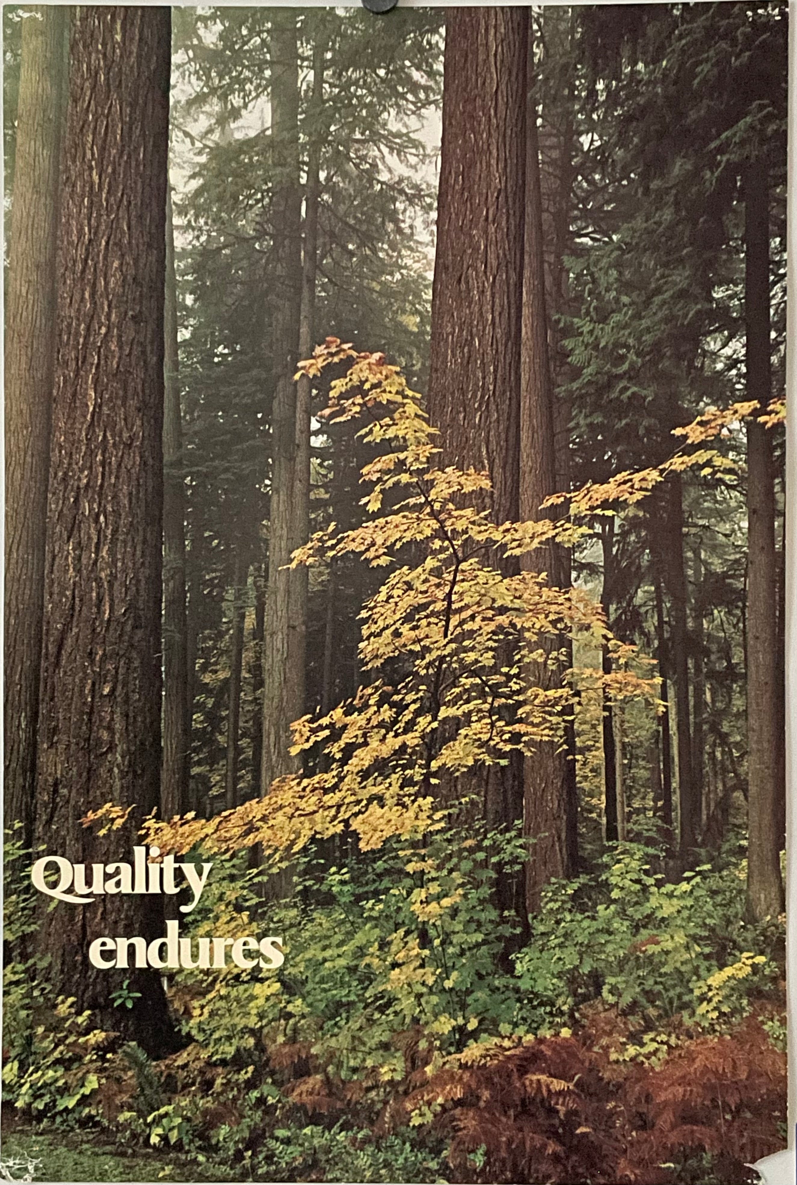 Quality Endures, (#867)
vintage ARGUS poster images of thick trees in forest