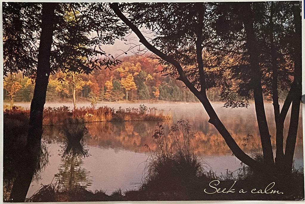 Seek a Calm (#2229), vintage ARGUS poster, 1976 Happiest Kid Finds