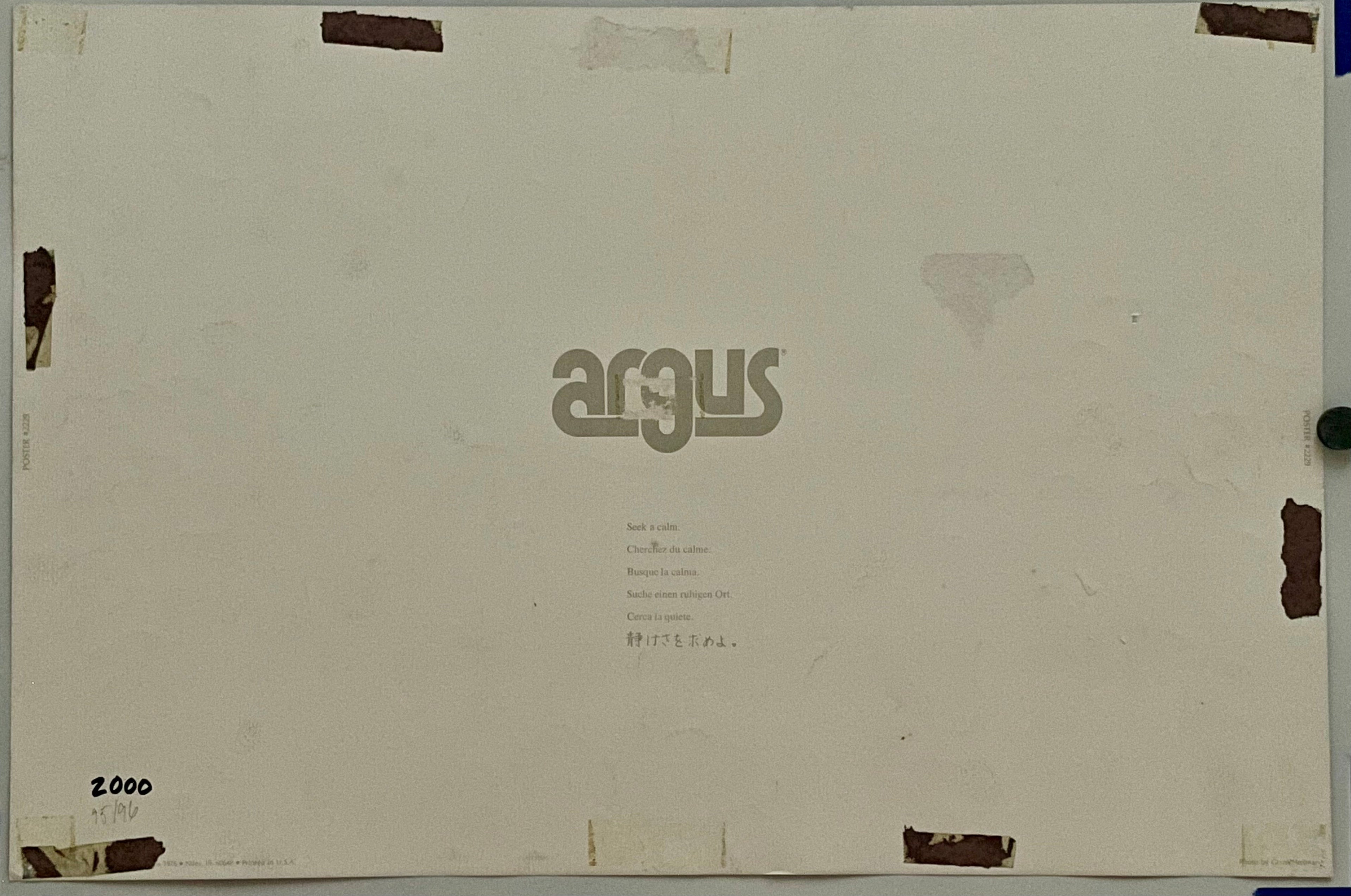 Seek a Calm (#2229), vintage ARGUS poster, 1976 Happiest Kid Finds