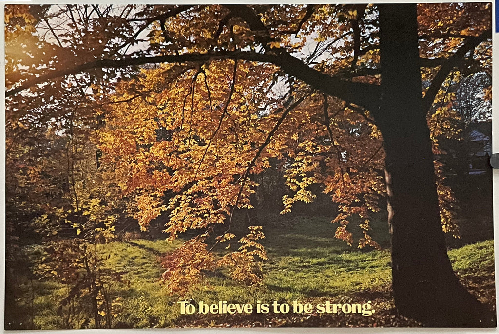To Believe Is to Be Strong.. (#758), vintage ARGUS Communications poster Happiest Kid Finds