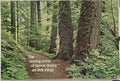 The Starting Points (#798), vintage ARGUS Communications poster, 1974 Happiest Kid Finds